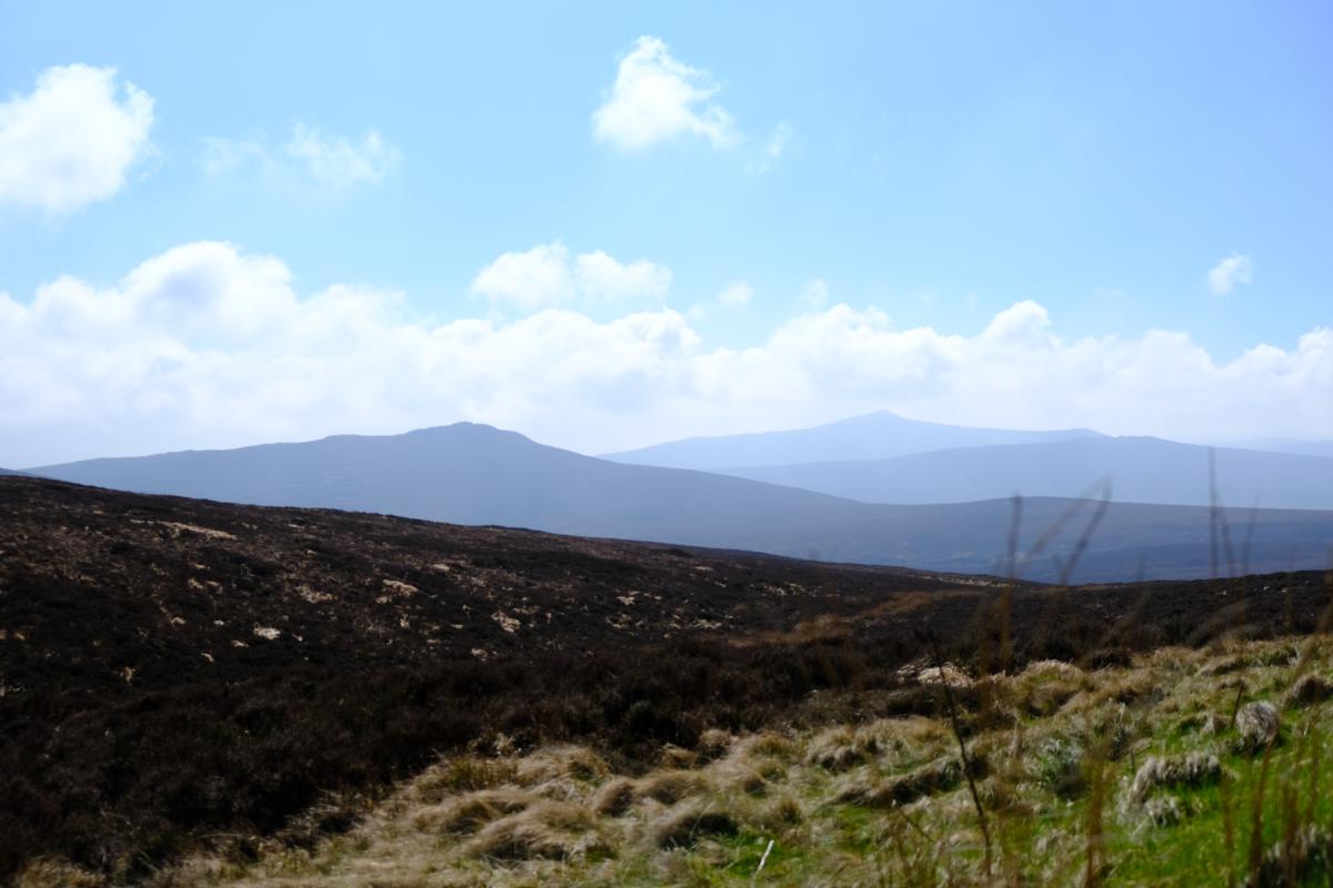 Wicklow Mountains