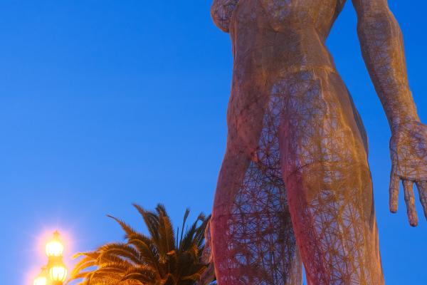 The Giant Lady