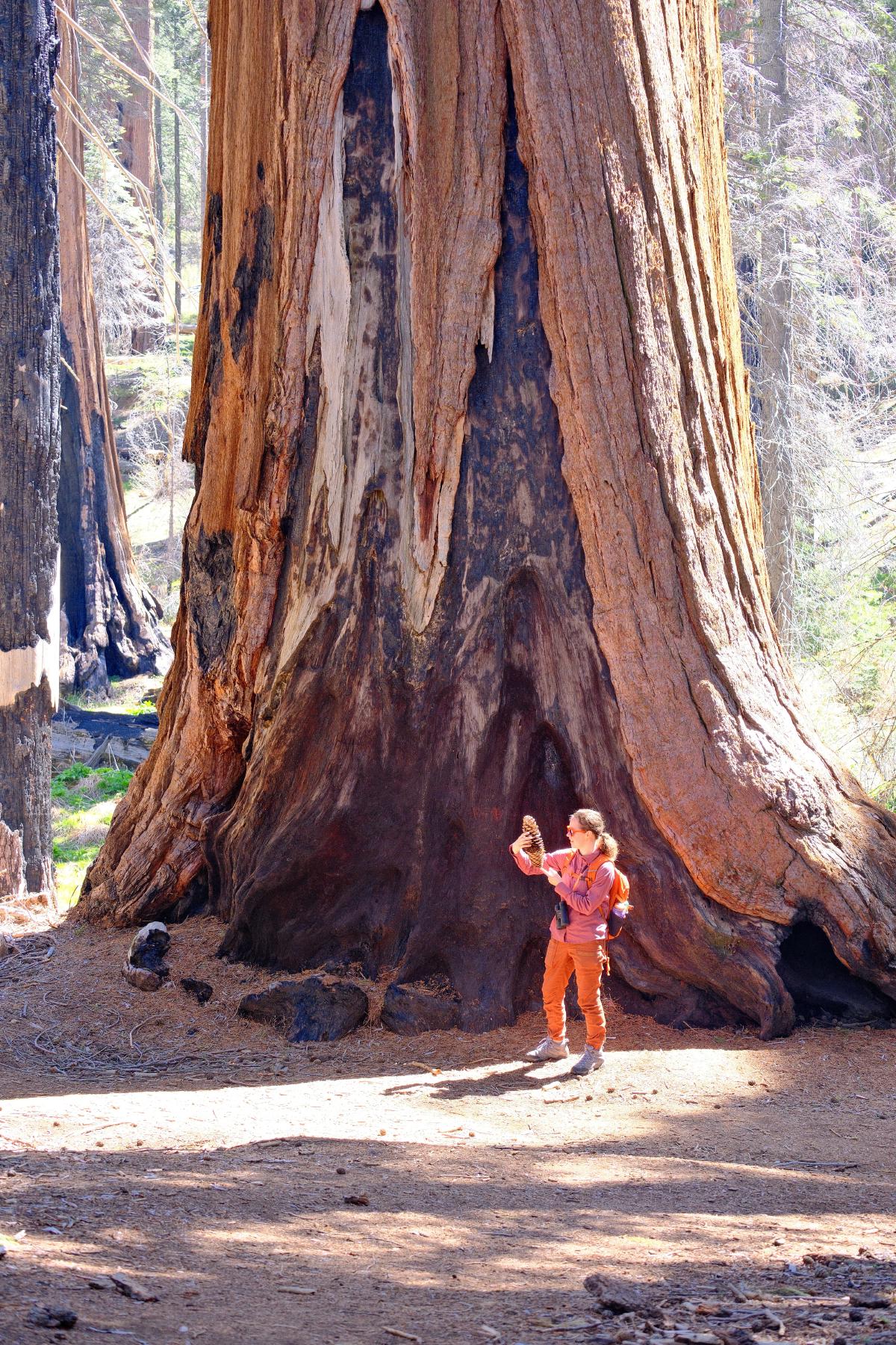 Whitney Is Tiny IRL